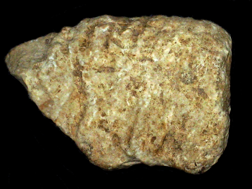 Idoceras ( Subnebrodites ) proteron ( Nitzopoulos, 1974 )