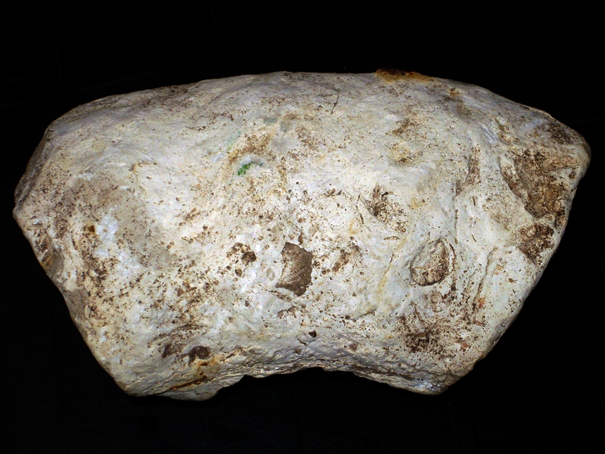 Perisphinctes ( Kranaosphinctes ) gigantoplex ( Quenstedt, 1887 )