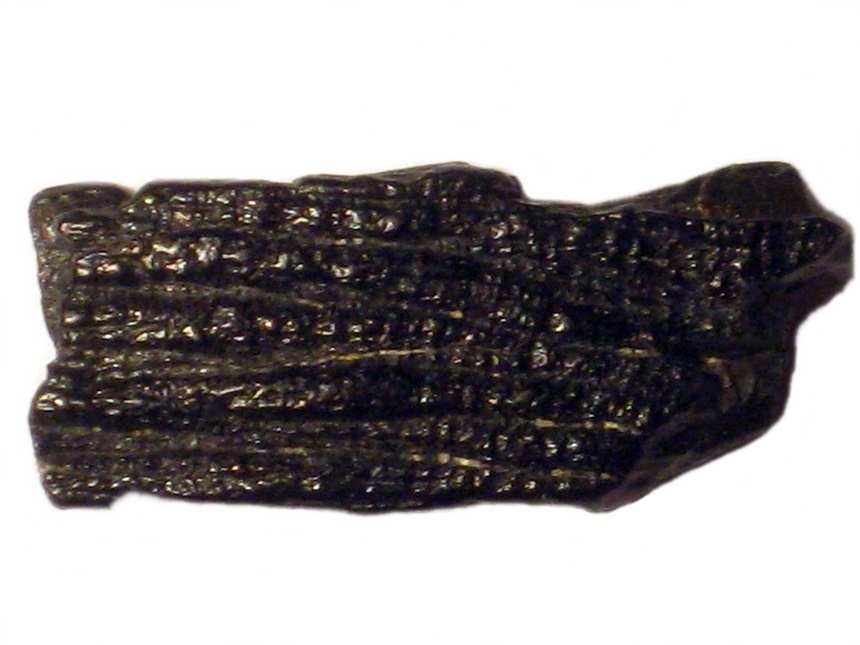 unbekanntes Fossil, möglicherweise Hautschuppe eines Meeresreptils
